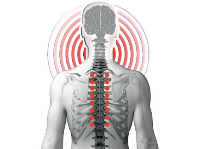 Spine care