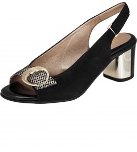 Isabella BF Isabella BF