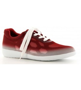 Umbria (red 36 only)