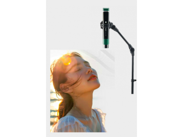 happy】OlyLife バイタリティワンド Olylife Vitality Wand